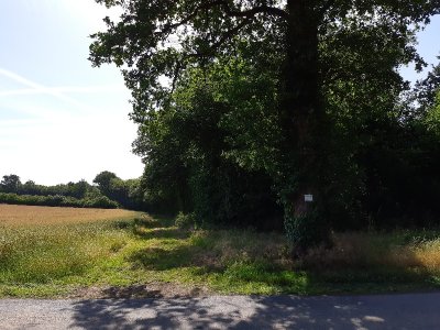 Les Bois de la Garde - Melle