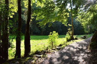 Circuit Pédestre N°42 : "Les gorges du Verger"
