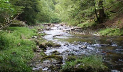 Buricleta : le grand tour d'Irati