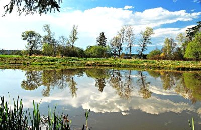 Gravel bleu n°2 - "De la Brousse au Puy de Gaud"