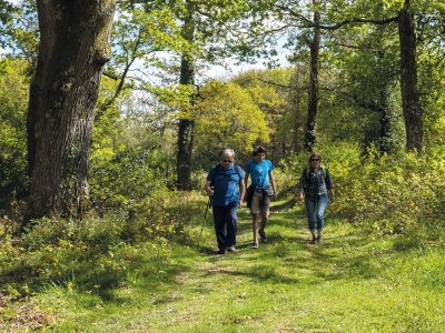 Saubole : Le long du Lées