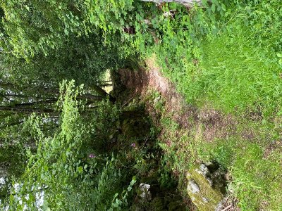 Circuit de Fifine la Fouine