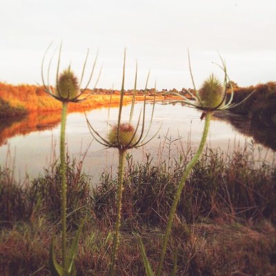 Les Pistes de Robin : Le Verdon-sur-Mer
