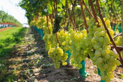 Buzet, un pont-canal sur la Baïse