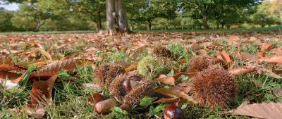 La Grande Boucle du Parc: Etape 9 : de Dournazac à St Pierre de Frugie
