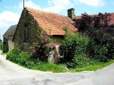 Circuit de randonnée pédestre n°26 Sentier Botanique