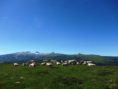 VTT N°4 - Crêtes d'Issarbe