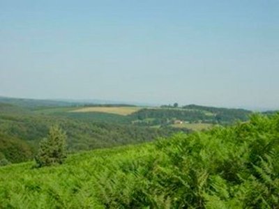 Sentier d'interprétation des landes de Gioux