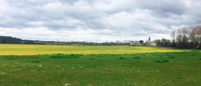 Piste du patrimoine à Noaillan