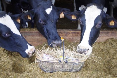 Sentier GR 48 : Angles-sur-l'Anglin / Saint-Savin