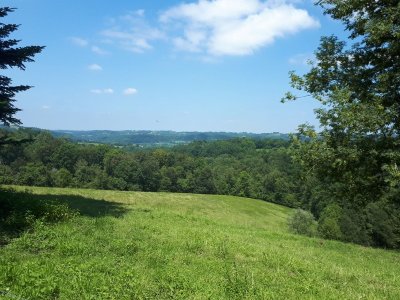 N°87 Coteaux de la Bastarde