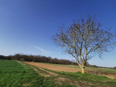 Sur la Route de l'Eau
