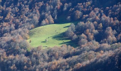 Petrilare (Forêt d'Iraty)