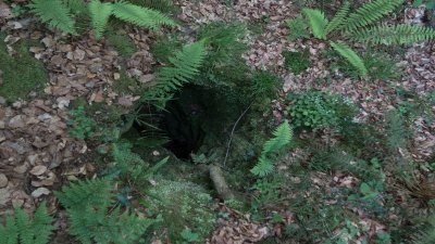 N°83 Sentier Karstique