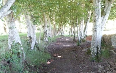 Variante par Nouailhaguet - Sentier de Meilhac