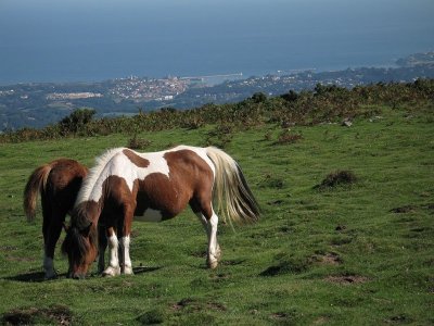 De Bidarray à Saint-Etienne de Baïgorry en écomobilité