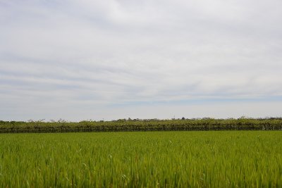 Boucle de l'Imbarradys