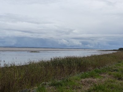 Boucle de l'Estuaire