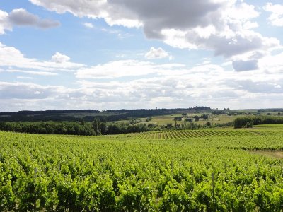 Boucle de Monbos - Thénac