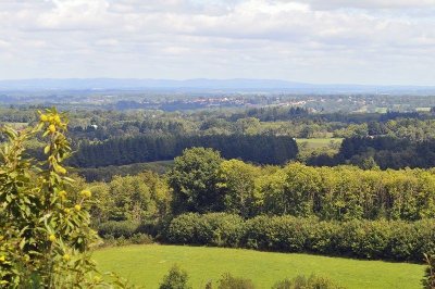 Chemin des hautes forêts