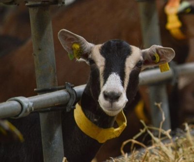 La Boucle Châtelleraudaise