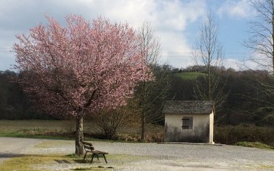 VTC 1 Entre plaine et gave