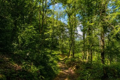 Uzos - Boucle de la Glandée