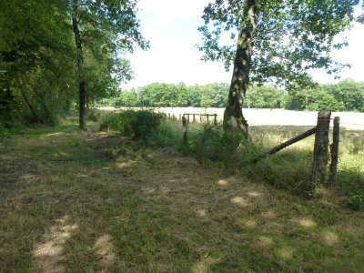 Chemin du muguet aux forges