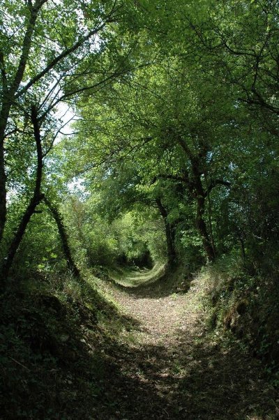 La Grande Boucle du Parc : Etape 4 : De Champniers-Reilhac aux Salles-Lavauguyon