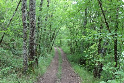Boucle de Saint-Avit-de-Soulège