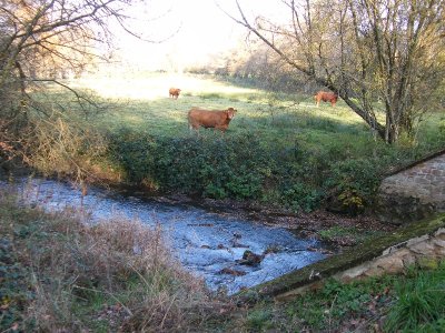 Circuit pédestre La Vallée de la Brézentine SA1