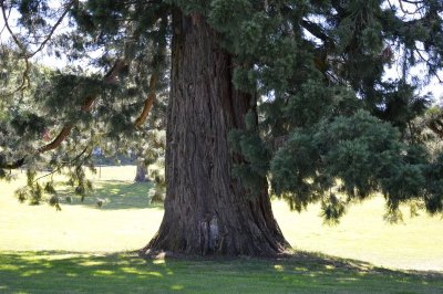 Base VTT FFC des Monts du Limousin - Circuit 4 Le dolmen
