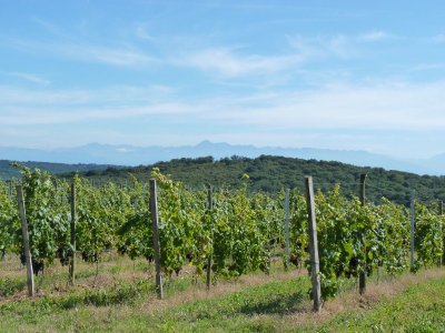 Moncaup : au cœur du Madiranais à VTT