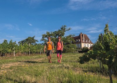 Crouseilles : entre vignes et château