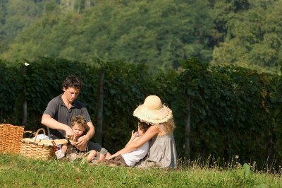 Vignobles de Cuqueron