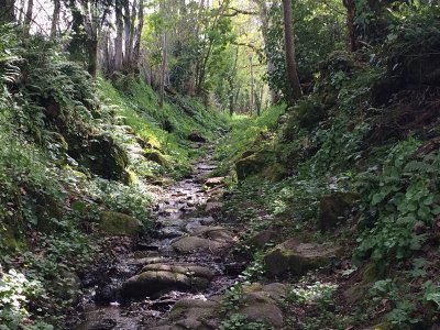 Circuit des clochers et des étangs