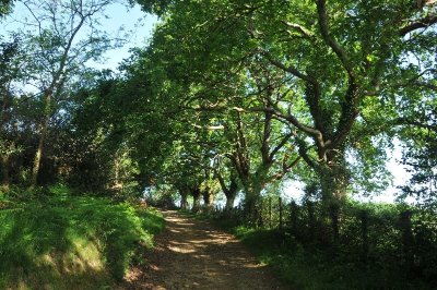 Urtsua - Ursuia (Macaye)