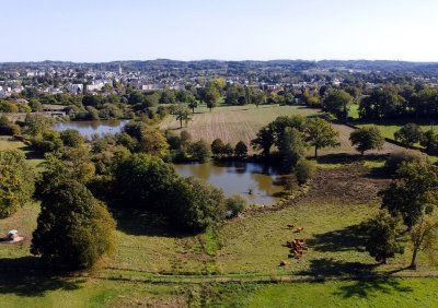 Circuit Uni'Vert Trail n°7 : Urbain'POLT