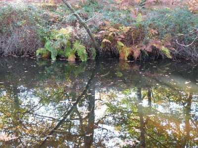 Balade à roulettes : Le parc de la Cheneraie
