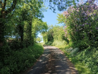 Le chemin des Lavandières - Hanc
