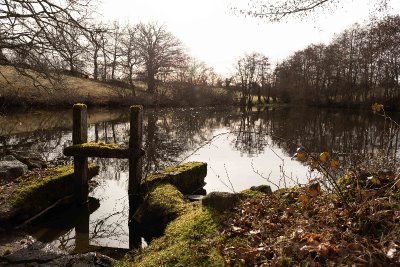 Etangs, châteaux et pâturages