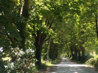 Boucle du Greseau et de Baron