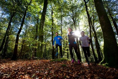 Circuit Trail n°10 : Grand Trail des Monts de Guéret