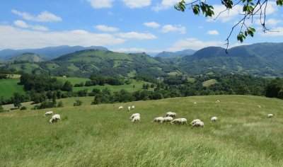 Boucle de Camou à VTT électrique