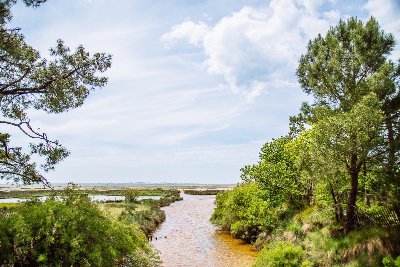 Les Pistes de Robin : balade à Saint Brice