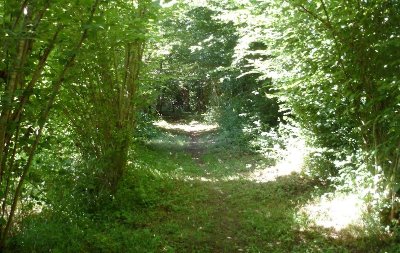 Les sentiers de Meilhac