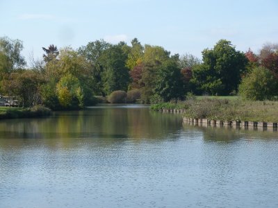 Balade à roulettes : Le parc floral de Bordeaux