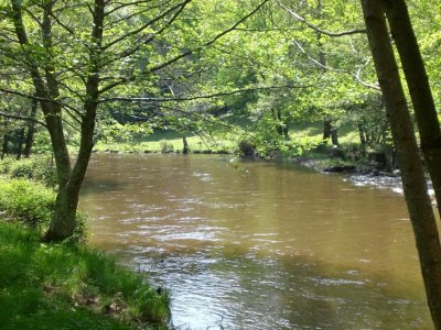 Sentier des narcisses