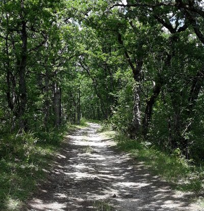 Ferrensac, une randonnée entre plaine du Dropt et coteaux