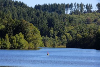 Promenons-nous sur le sentier de l'étang